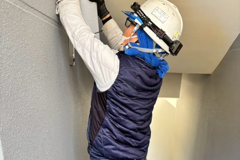 先輩インタビュー